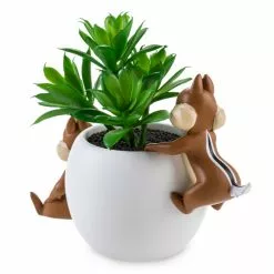 Disney Critters Chip 'n Dale Planter -Cheap Adult Fashion Store 465043285164 3