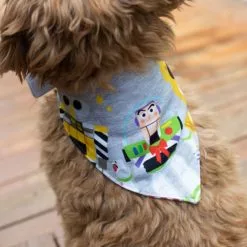 Pixar Holiday Bandana Set For Dogs -Cheap Adult Fashion Store 6504049220395M 2